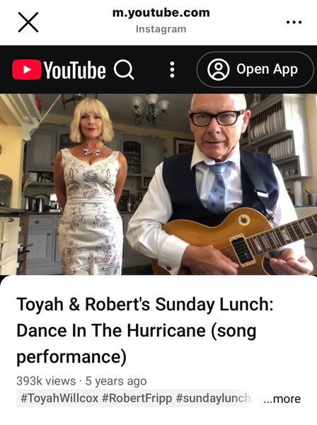 TOYAH SUNDAY LUNCH VIDEO EMBROIDERED DRESS
